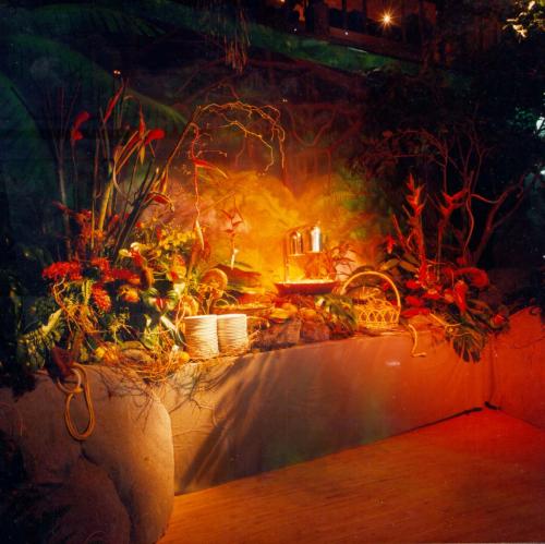 Jungle Theme Catering Station 